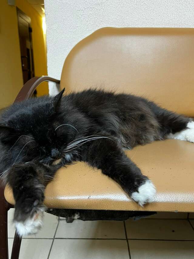 Гостиница Мещера Нижний Новгород-88