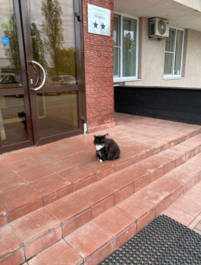 Гостиница Мещера Нижний Новгород-85